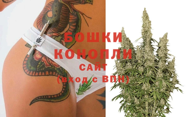 соль ск Горнозаводск