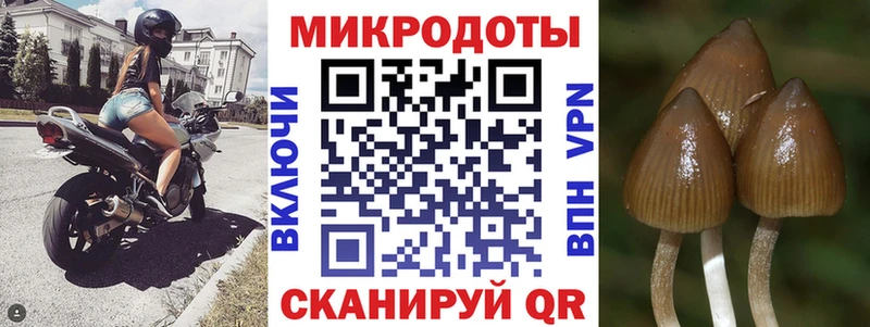 цена наркотик  Невель  Псилоцибиновые грибы прущие грибы 